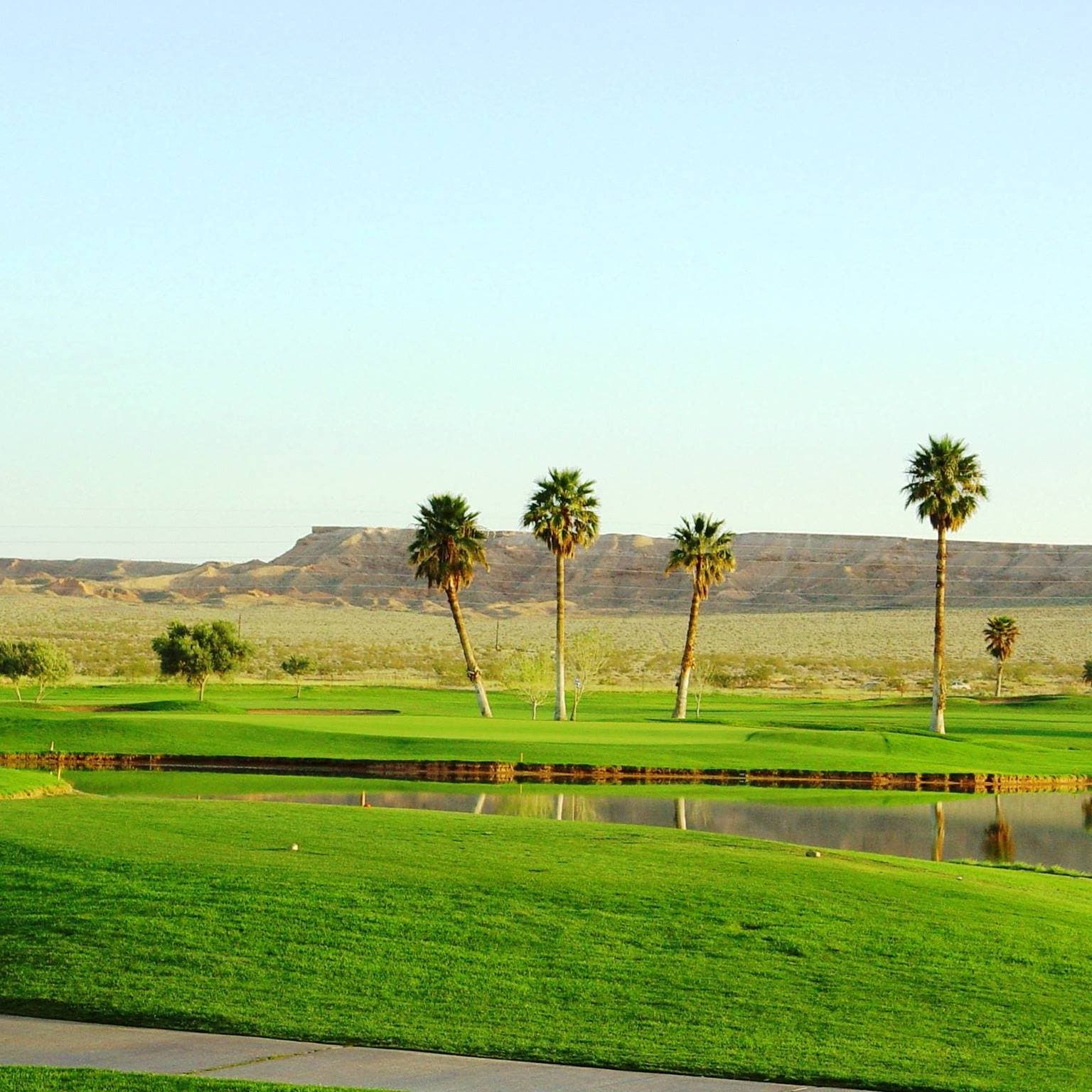 Palms Golf Course - Palms Golf Course Photos - Palms GC Photo 3